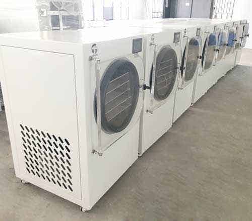 小型凍干機HFD-6