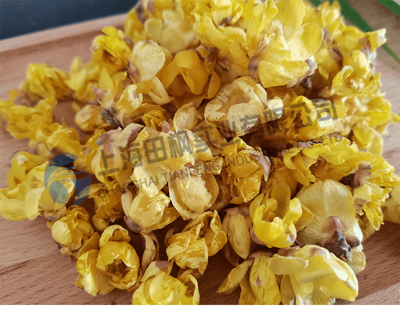 臘梅花凍干，鮮花冷凍干燥機(jī)