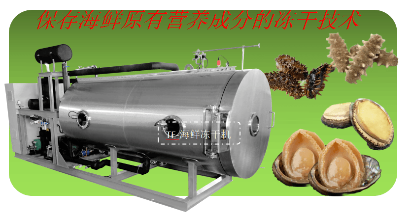海參鮑魚凍干技術(shù)和海鮮食品凍干機