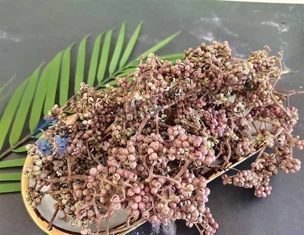花椒凍干：食品真空冷凍干燥機(jī)應(yīng)用于調(diào)味品凍干