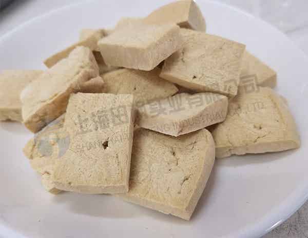 豆腐凍干，食品真空冷凍干燥機(jī)應(yīng)用豆腐凍干案例