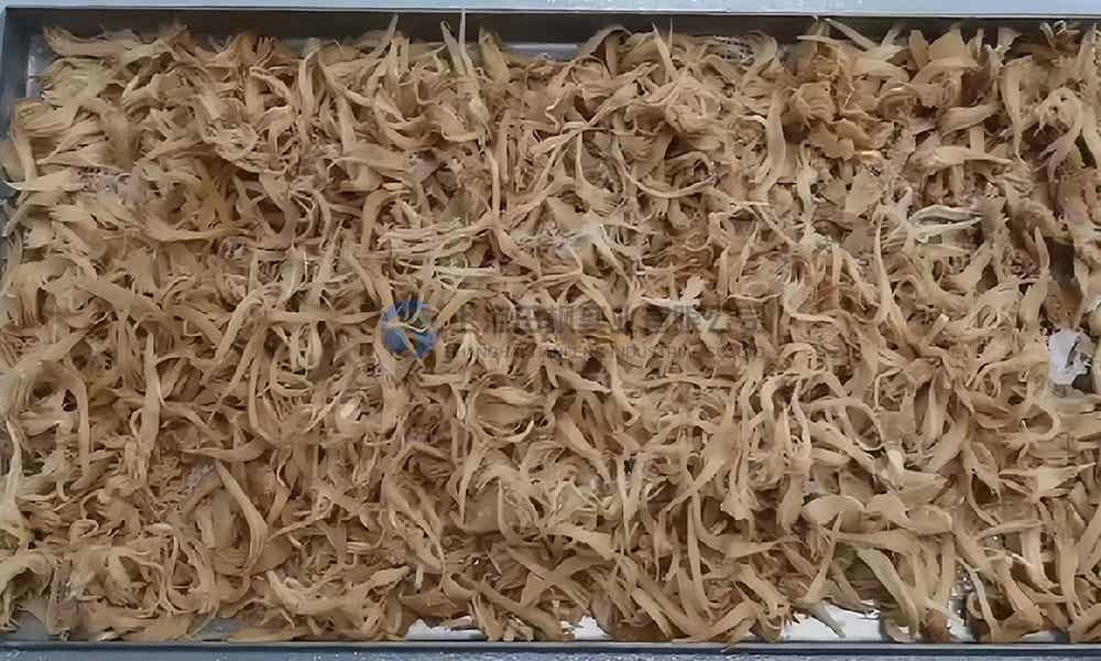 猴頭菇凍干：食品真空冷凍干燥技術(shù)應(yīng)用在猴頭菇凍干