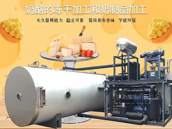 冷凍干燥機(jī)|凍干機(jī)|真空冷凍干燥機(jī)|大型冷凍干燥機(jī)|食品凍干機(jī)|制藥真空冷凍干燥機(jī)|食品凍干設(shè)備|制藥冷凍干燥機(jī)