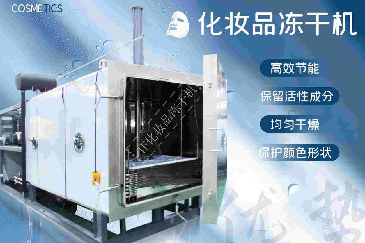 眼膜凍干機：眼部護理技術如何工作？