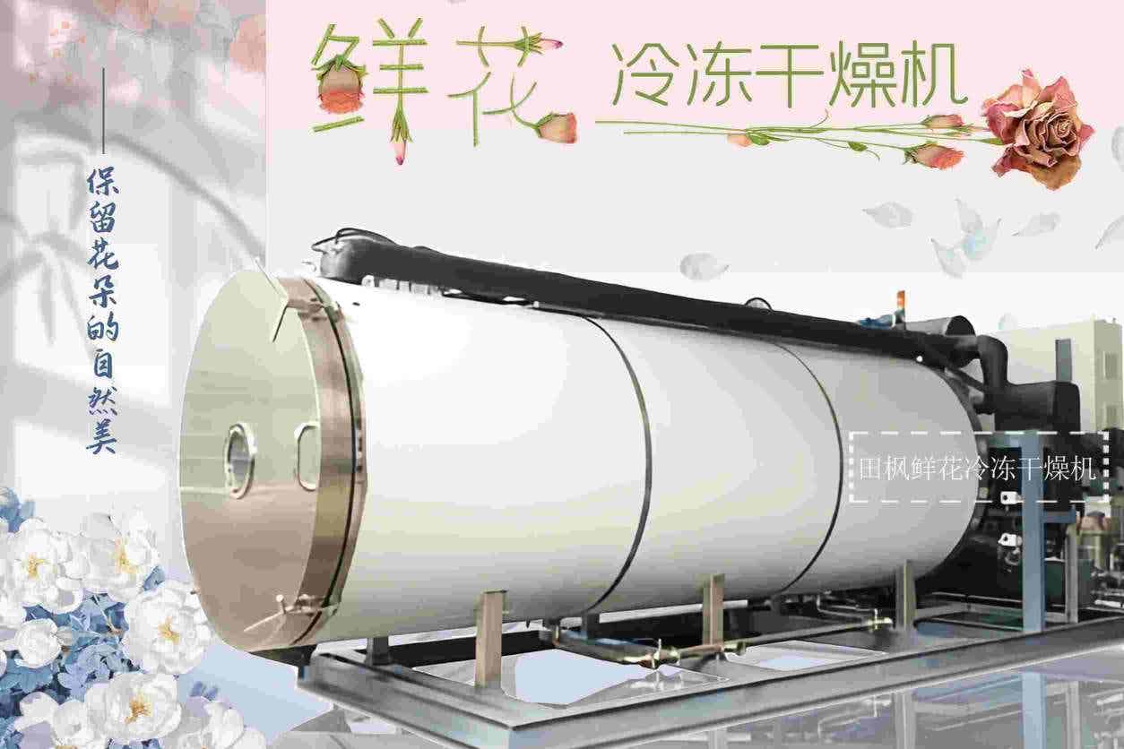 花卉凍干機在花藝設計中的應用有哪些創(chuàng)新？