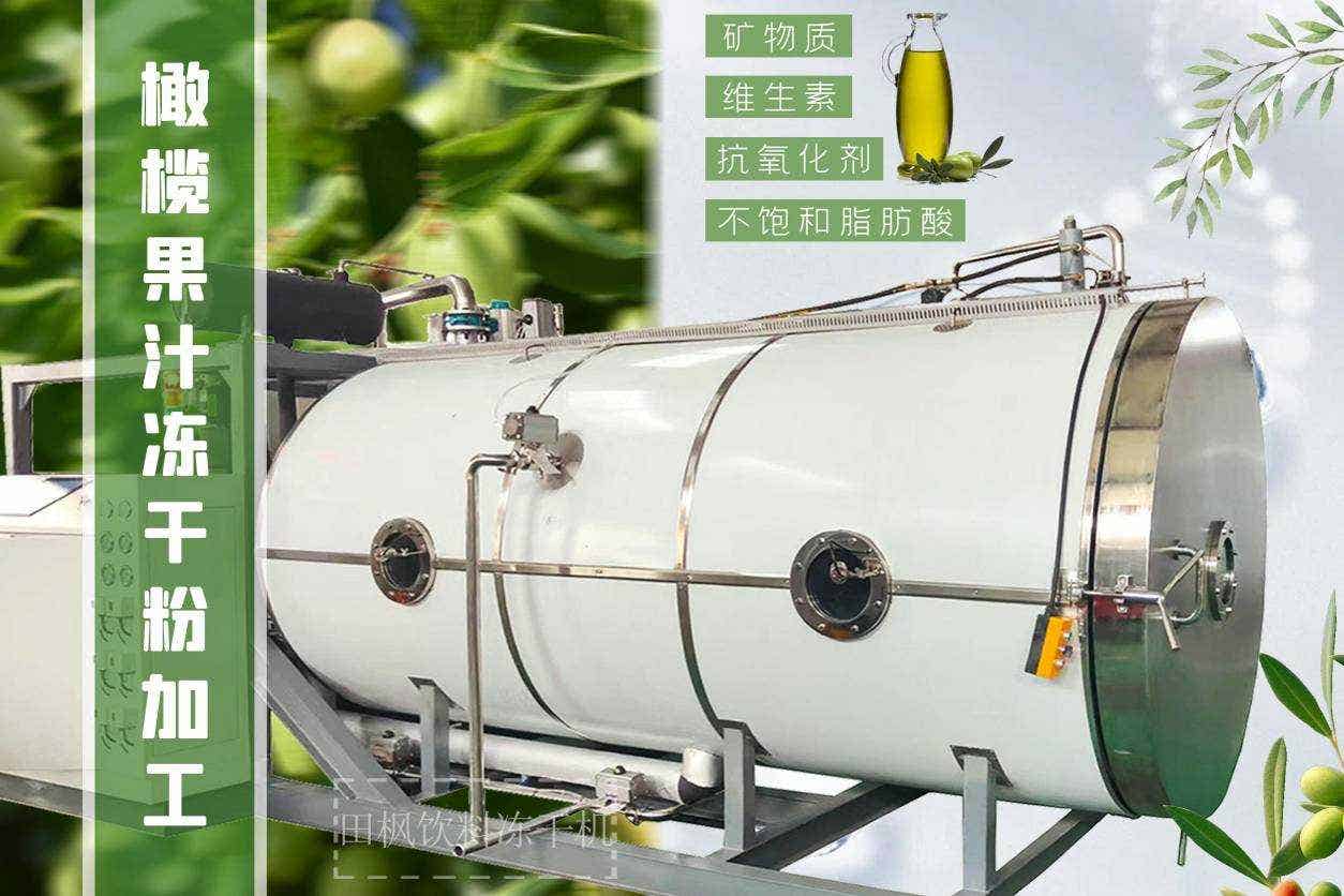 橄欖汁真空冷凍干燥機(jī)是如何保留橄欖汁的營養(yǎng)成分？