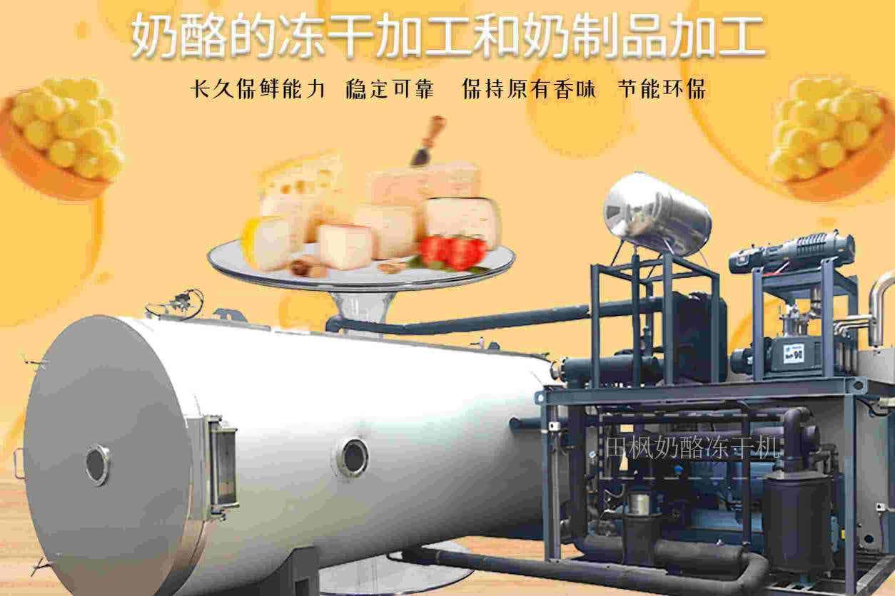 奶酪凍干機(jī)的工作原理是什么？