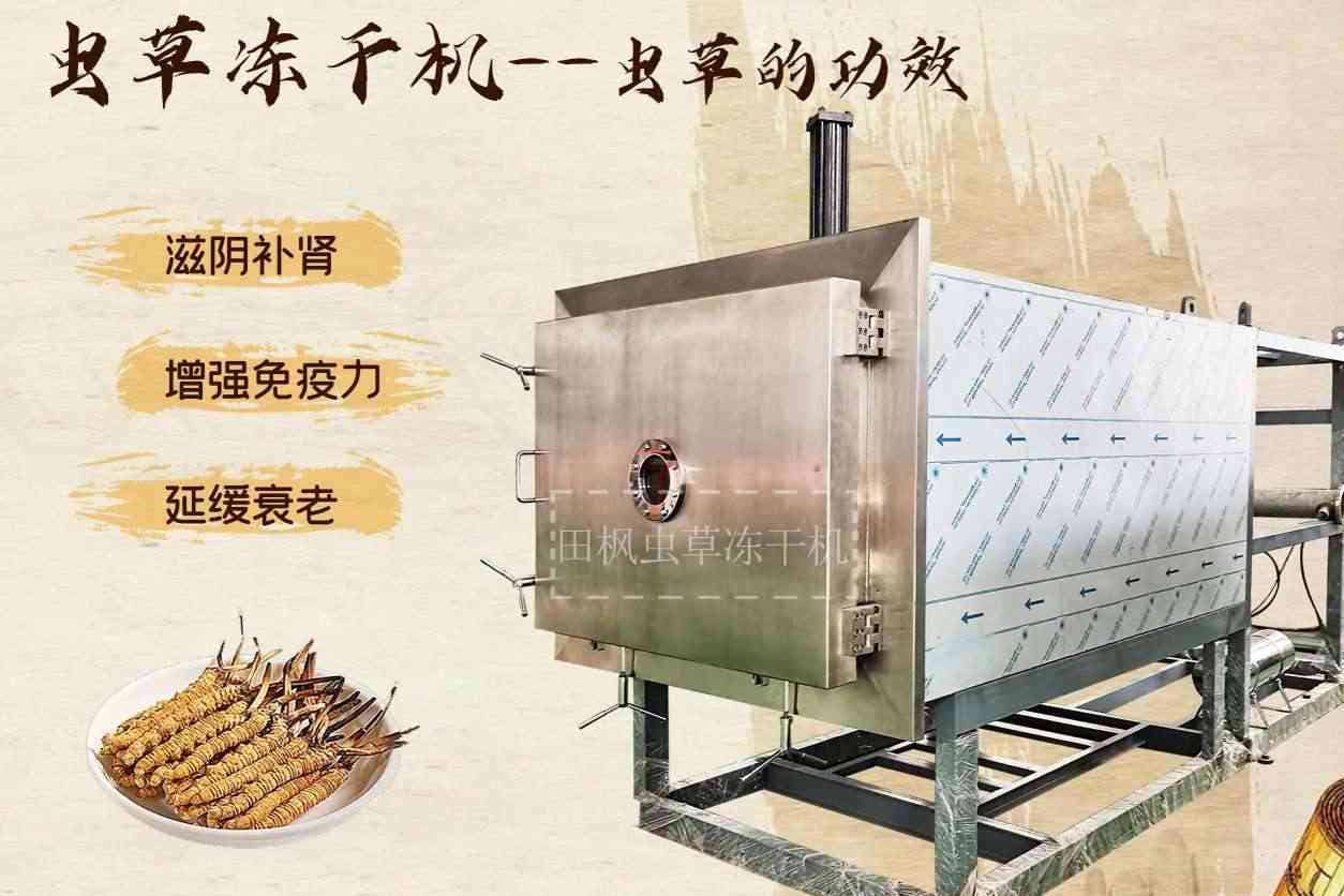 低溫凍干機(jī)如何保證生物樣本的純度？