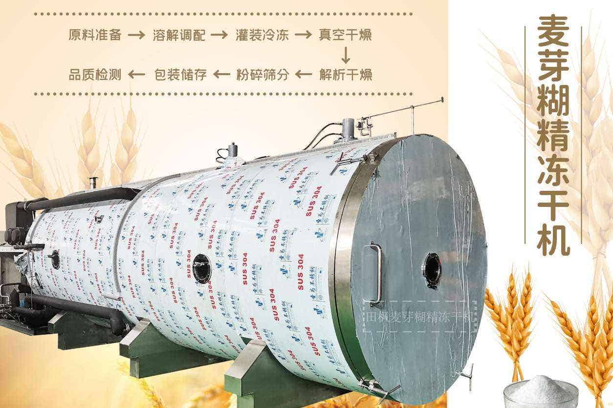 凍干機(jī)對中國文化遺產(chǎn)的保護(hù)有何意義？