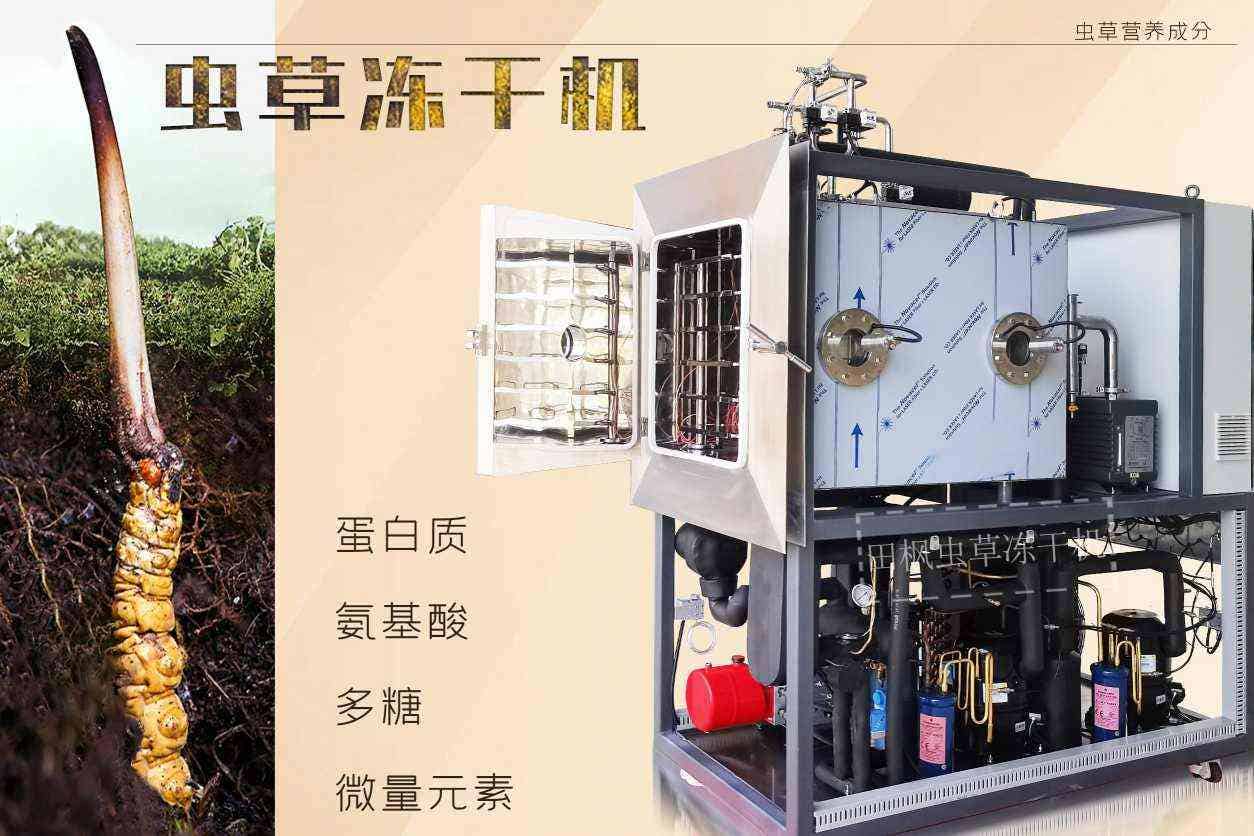 17193637642779.jpg 蟲13.jpg
