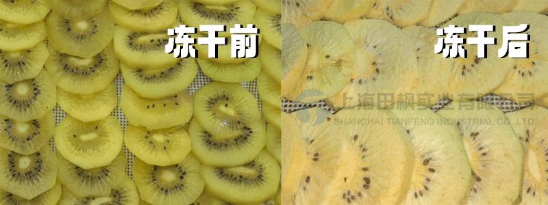 奇異果凍干工藝的多樣性與應(yīng)用