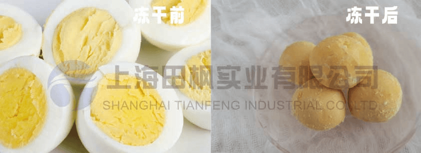 如何用蛋黃食品凍干機(jī)制作健康寵物蛋黃