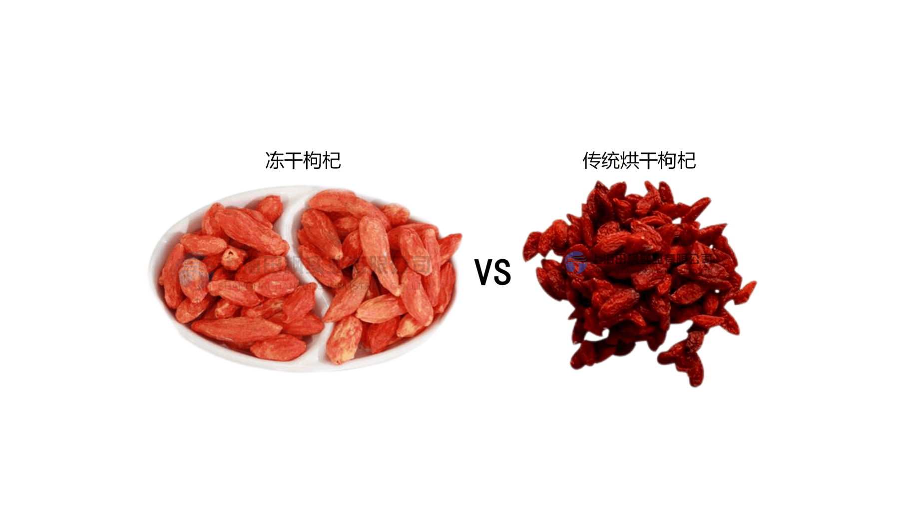冷凍干燥機加工枸杞的凍干技術(shù)