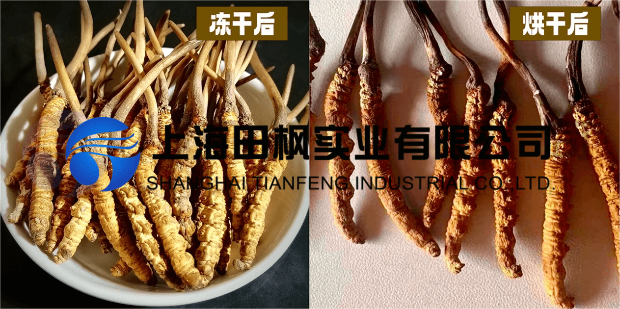 圖片 1.png