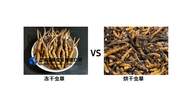 冷凍干燥機(jī)：蟲草凍干優(yōu)勢(shì)與應(yīng)用價(jià)值