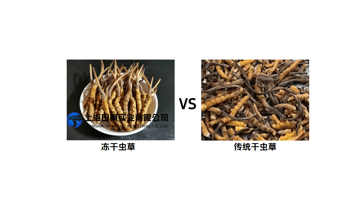 冬蟲(chóng)夏草冷凍干燥機(jī)，活性成分保護(hù)留