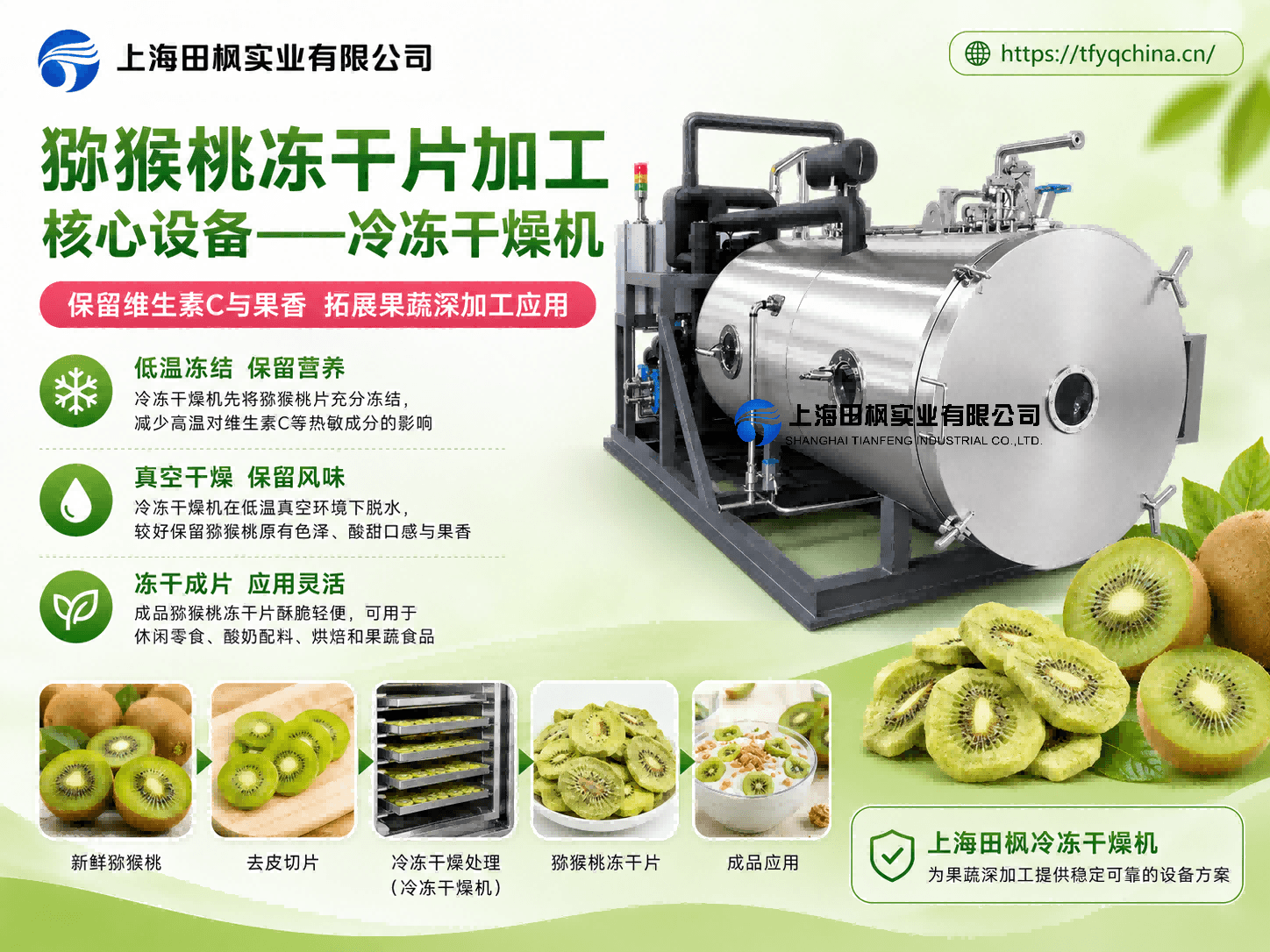 獼猴桃凍干片加工與冷凍干燥機(jī)應(yīng)用